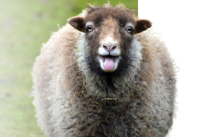 Больше рисков под контролем