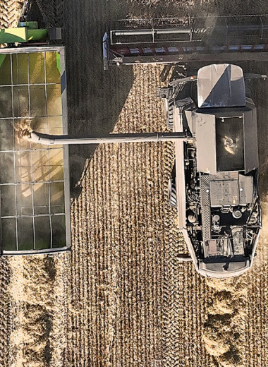 Золотые нивы центра Евразии