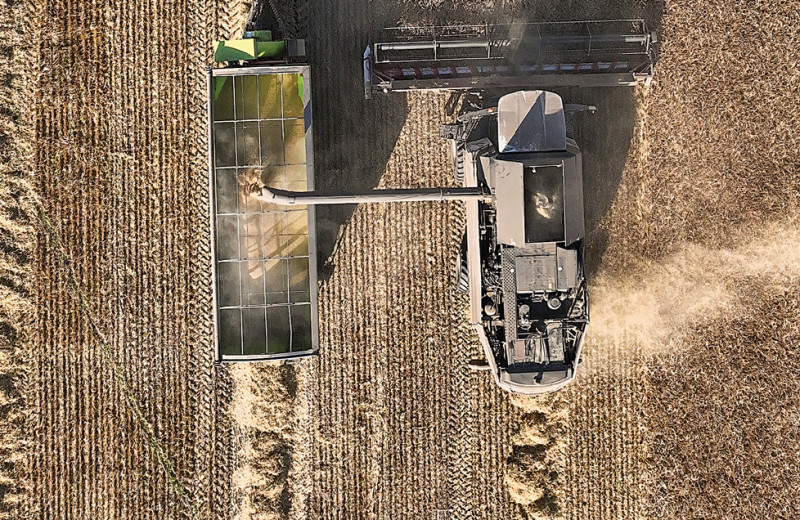 Золотые нивы центра Евразии