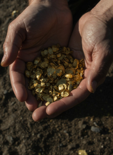 Золотые недра