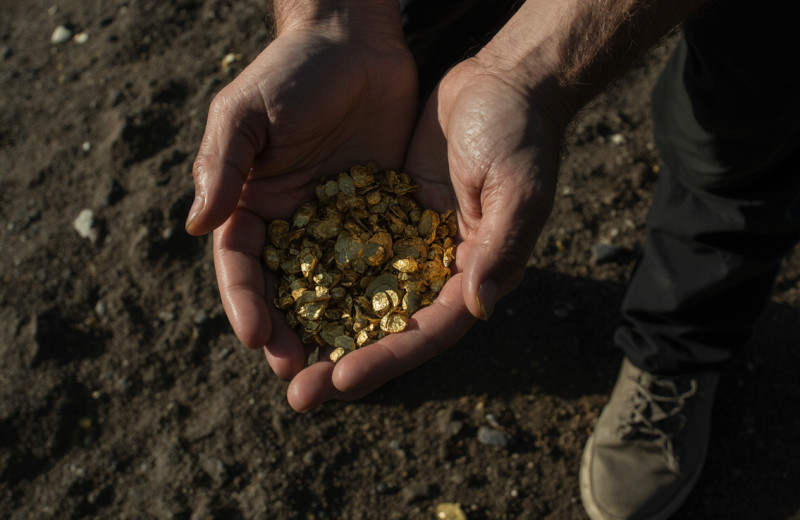 Золотые недра