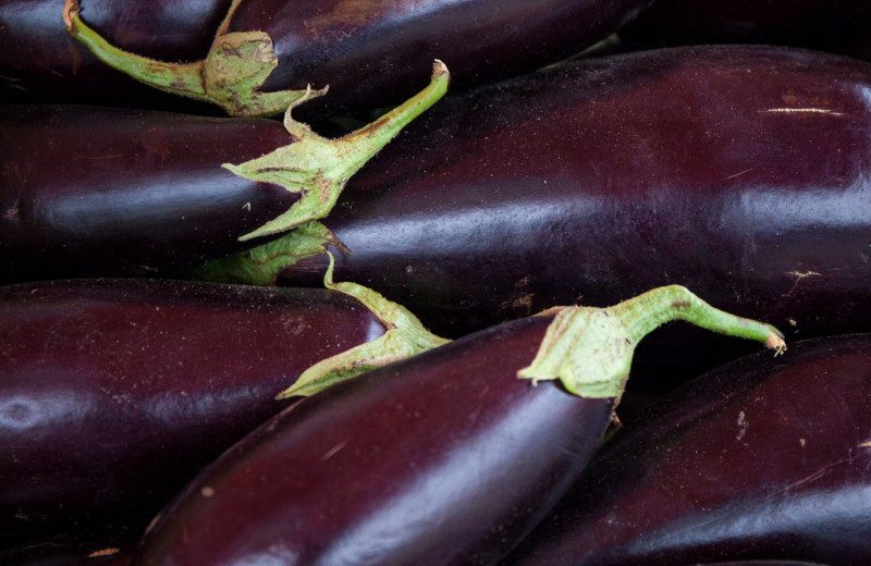 Rotten eggplant - Buy this stock photo and explore similar images at Adobe Stock