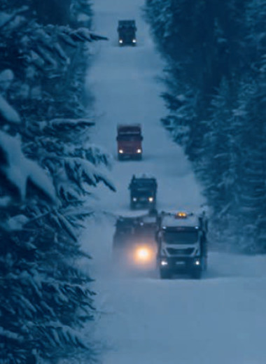 Артериальное движение