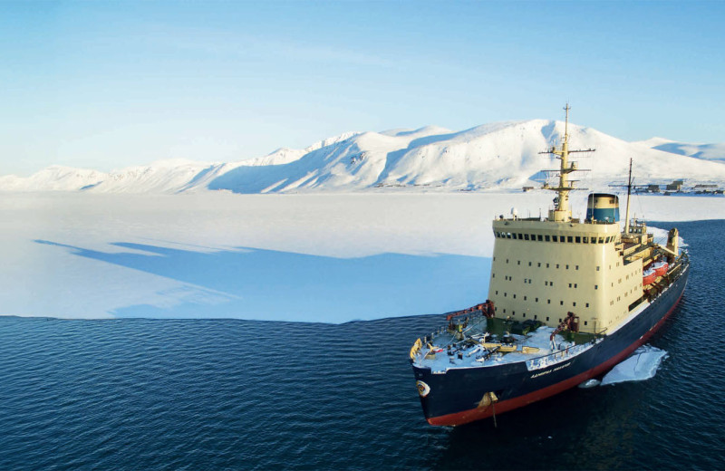 Северный запрос