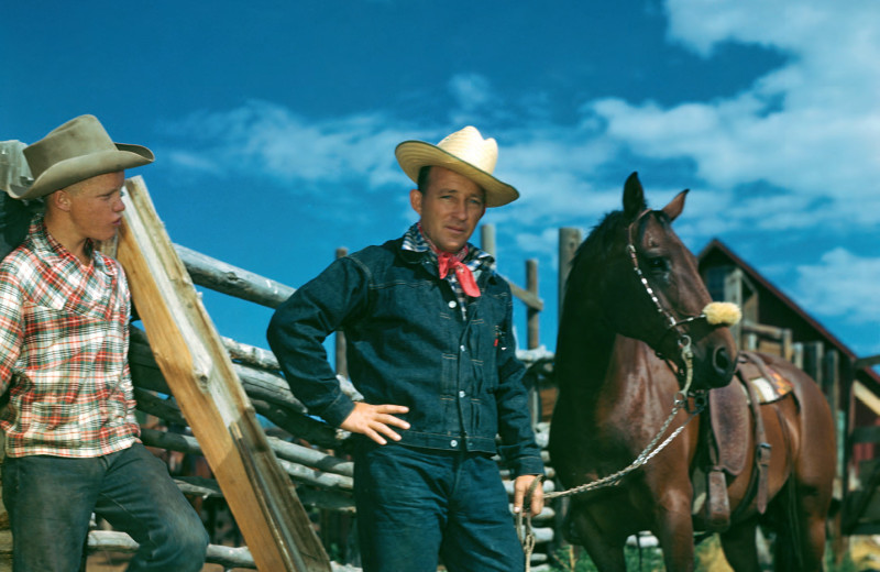 На любой случай