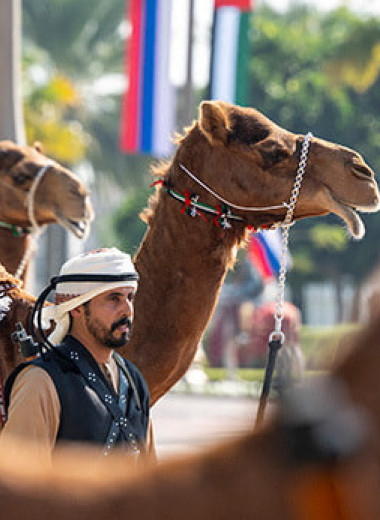 Инвестиции сквозь огонь