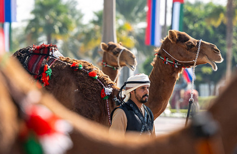 Инвестиции сквозь огонь