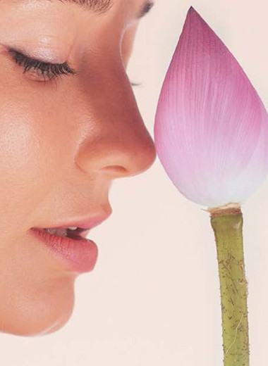 Сезонные работы