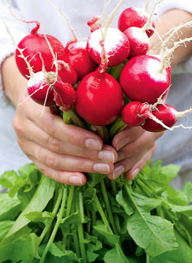 Акцент на клетчатку