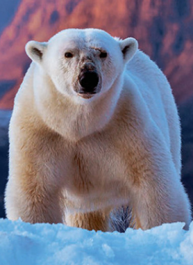 Отдых в проруби