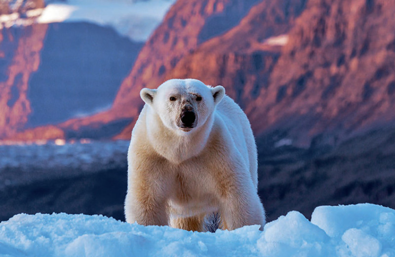 Отдых в проруби