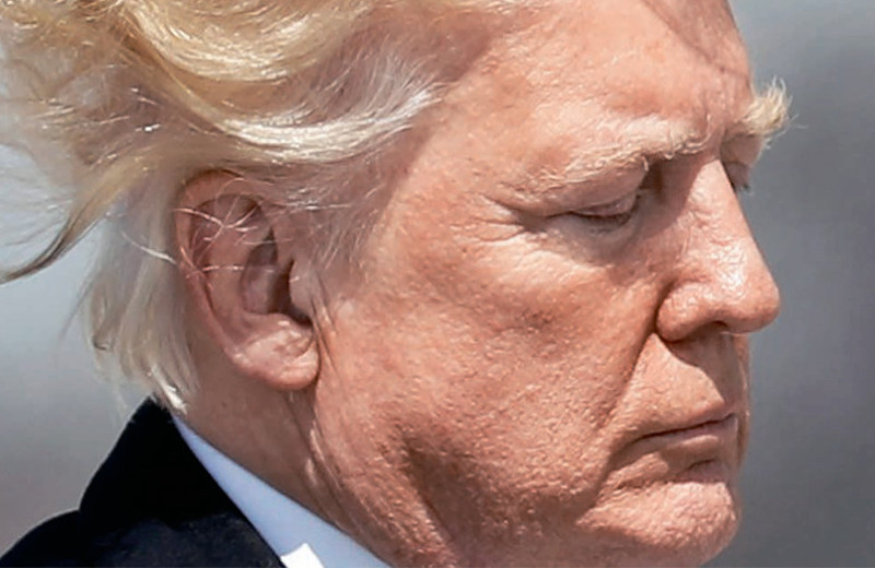 Год на кураже