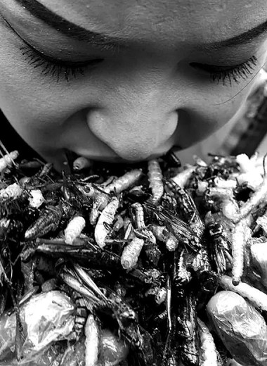 Таракан в молоке: к чему бы это?