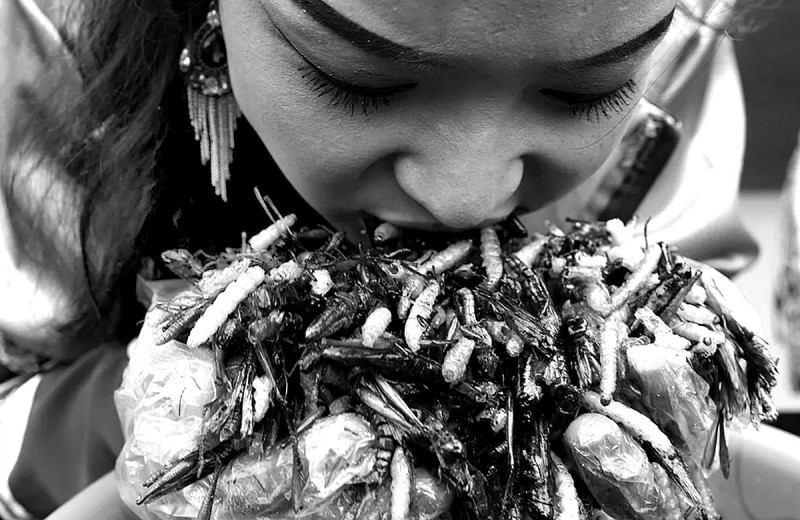 Таракан в молоке: к чему бы это?