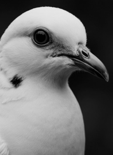 Новости науки