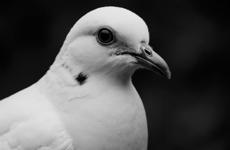 Новости науки