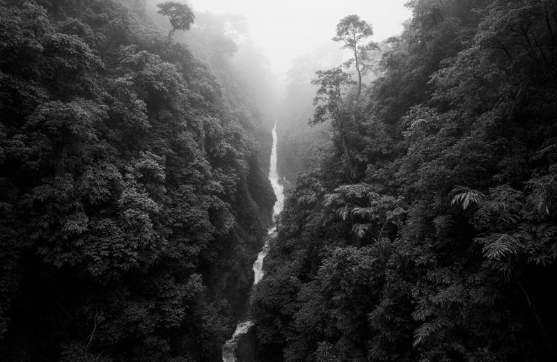 Во всем мире