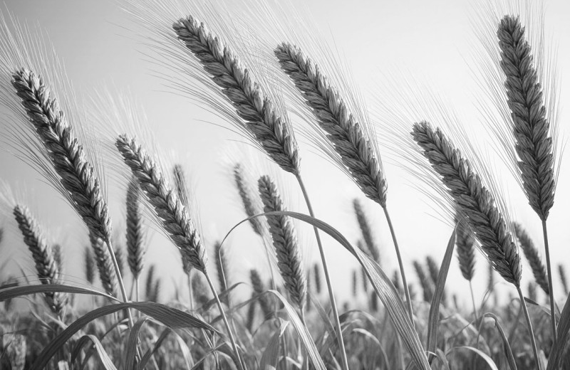 Создано в России