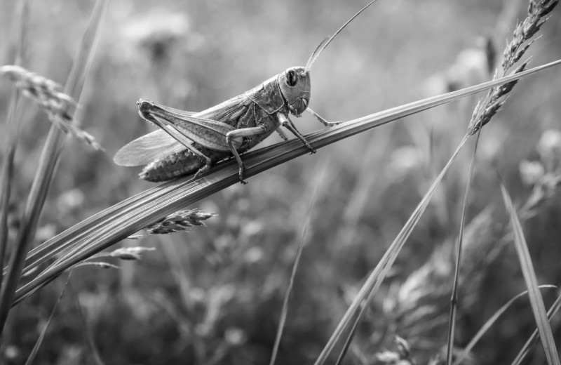 Как мало мы о них знаем