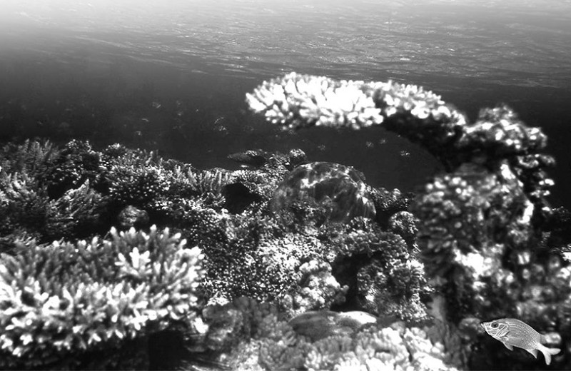 Бронированный кузовок