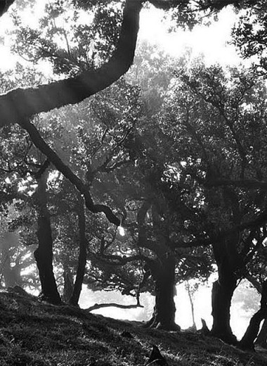 Путешествия во времени и пространстве