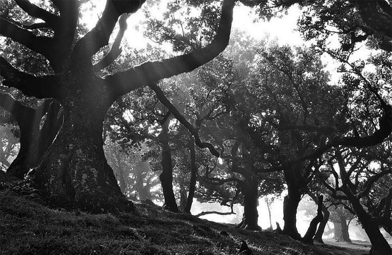 Путешествия во времени и пространстве