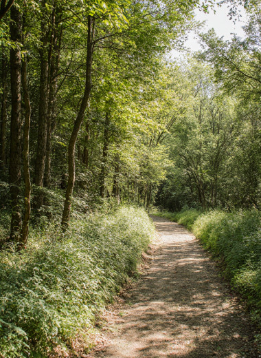 Хождение по Горкам