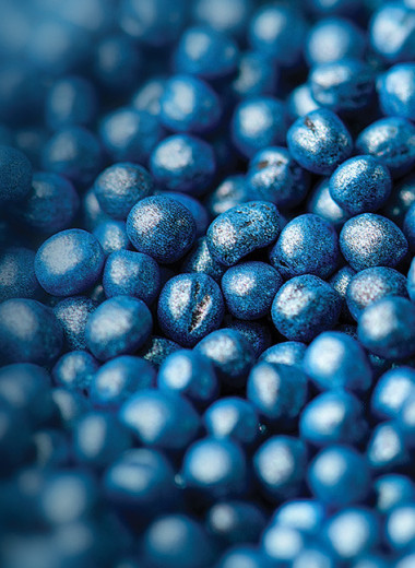 Что посеешь?