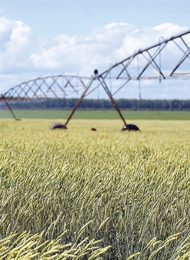 Урожаи вырастут на поливе