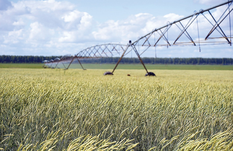 Урожаи вырастут на поливе