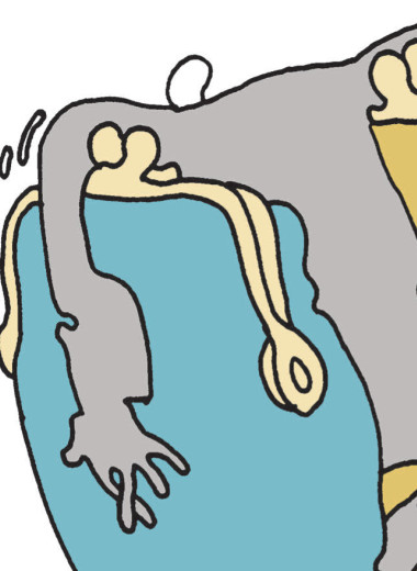 Инсайд по запросу