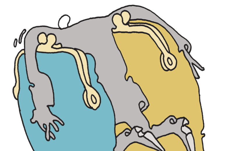 Инсайд по запросу