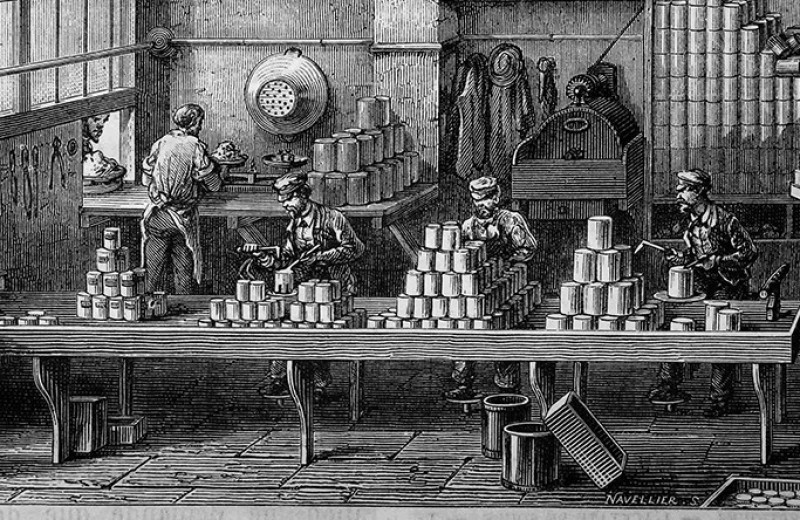 Годовые кольца: 1804