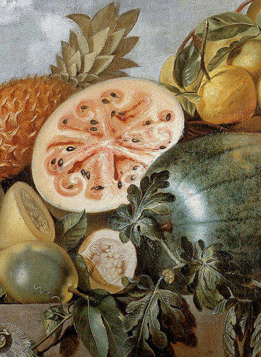 Тайна дикого огурца