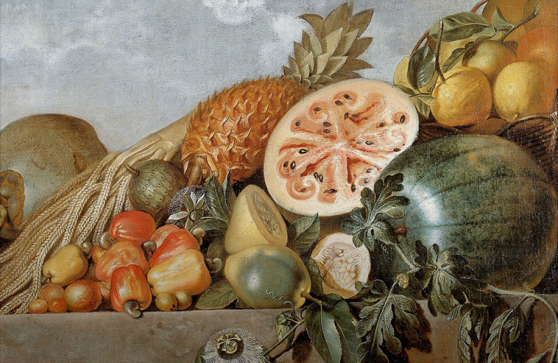 Тайна дикого огурца