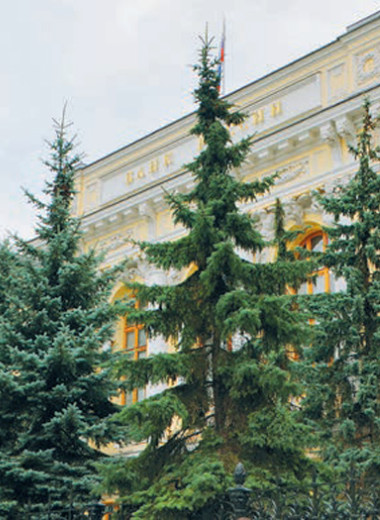 Жизнь взаймы