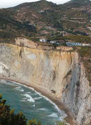 Чудеса, да и только