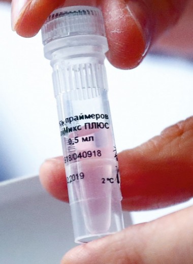 Карьера с пеленок: как развивается рынок тестов на врожденные способности