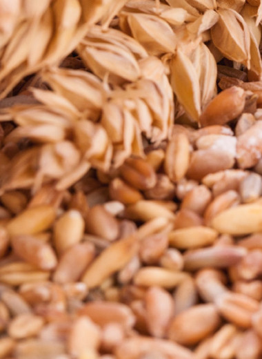 Зерно раскладывают на фракции