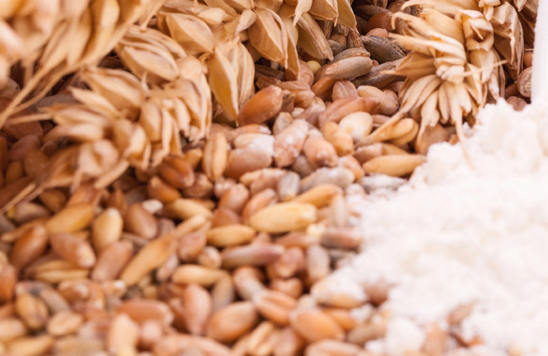 Зерно раскладывают на фракции