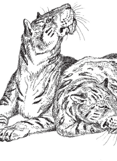 Саблезубые тигры. Находки в Крыму