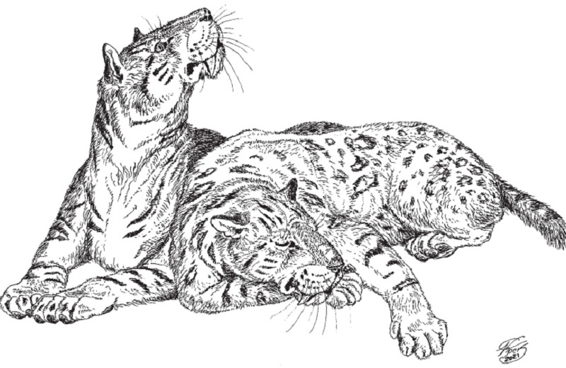 Саблезубые тигры. Находки в Крыму