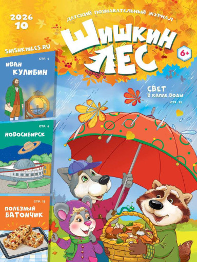 Шишкин Лес