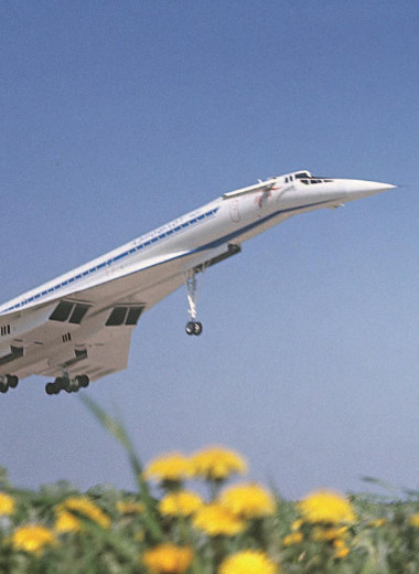 Ту-144. Прерванный полет