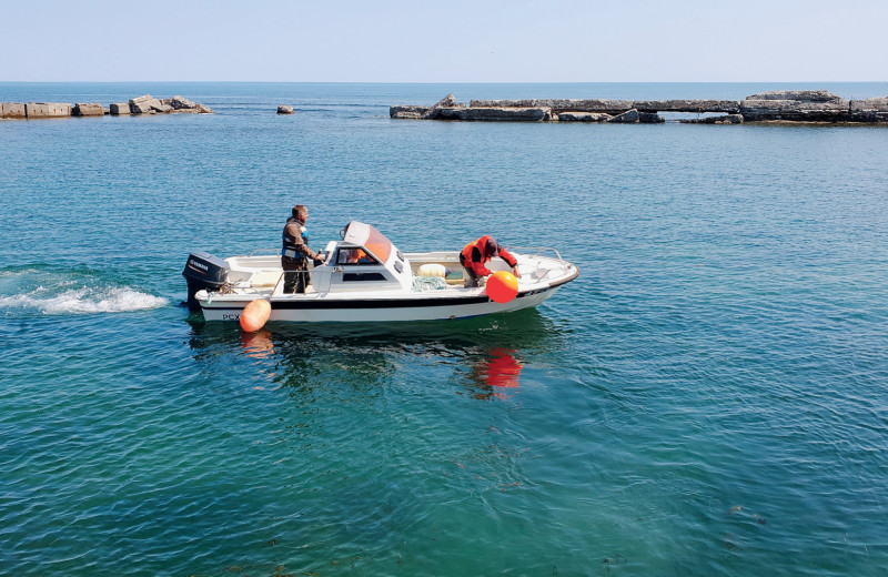 Волны на море