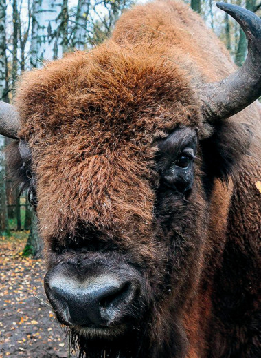 Заповедные новости