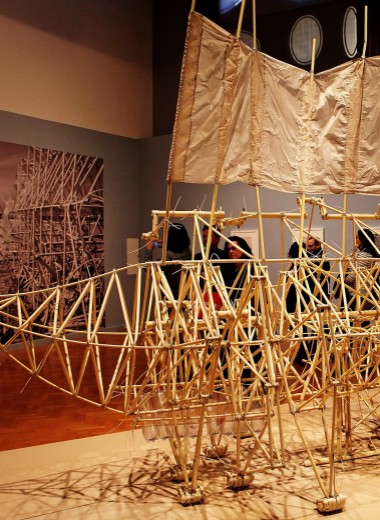 Естественный отбор