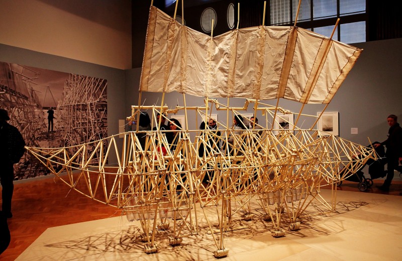 Естественный отбор