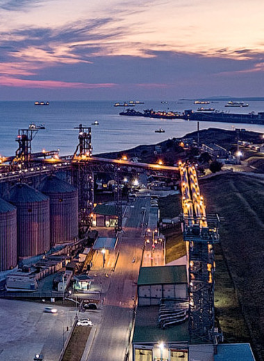 Антихрупкий АПК России