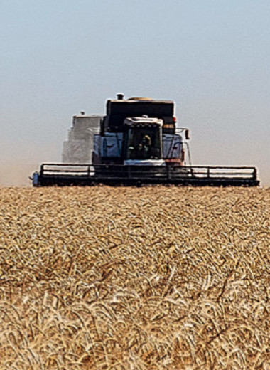 Эффект высокой базы